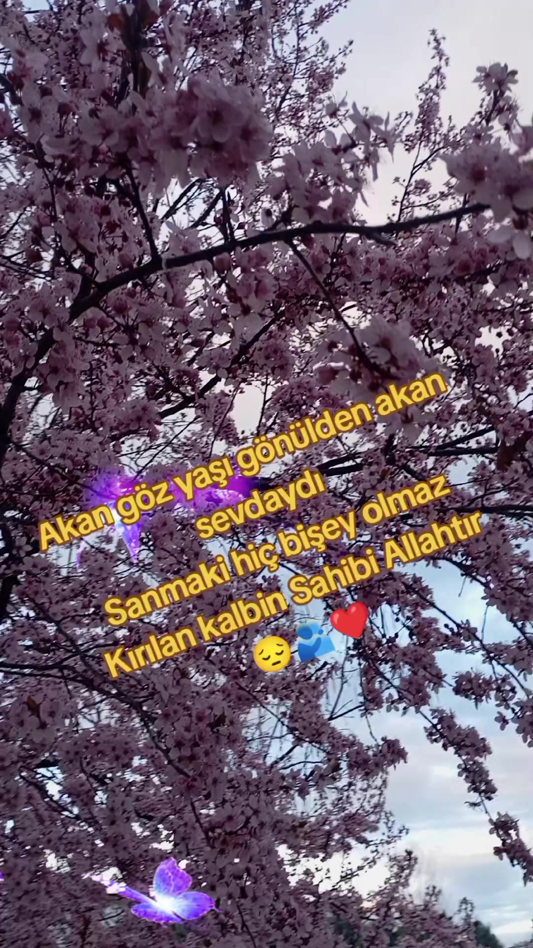 @Ercan Berber