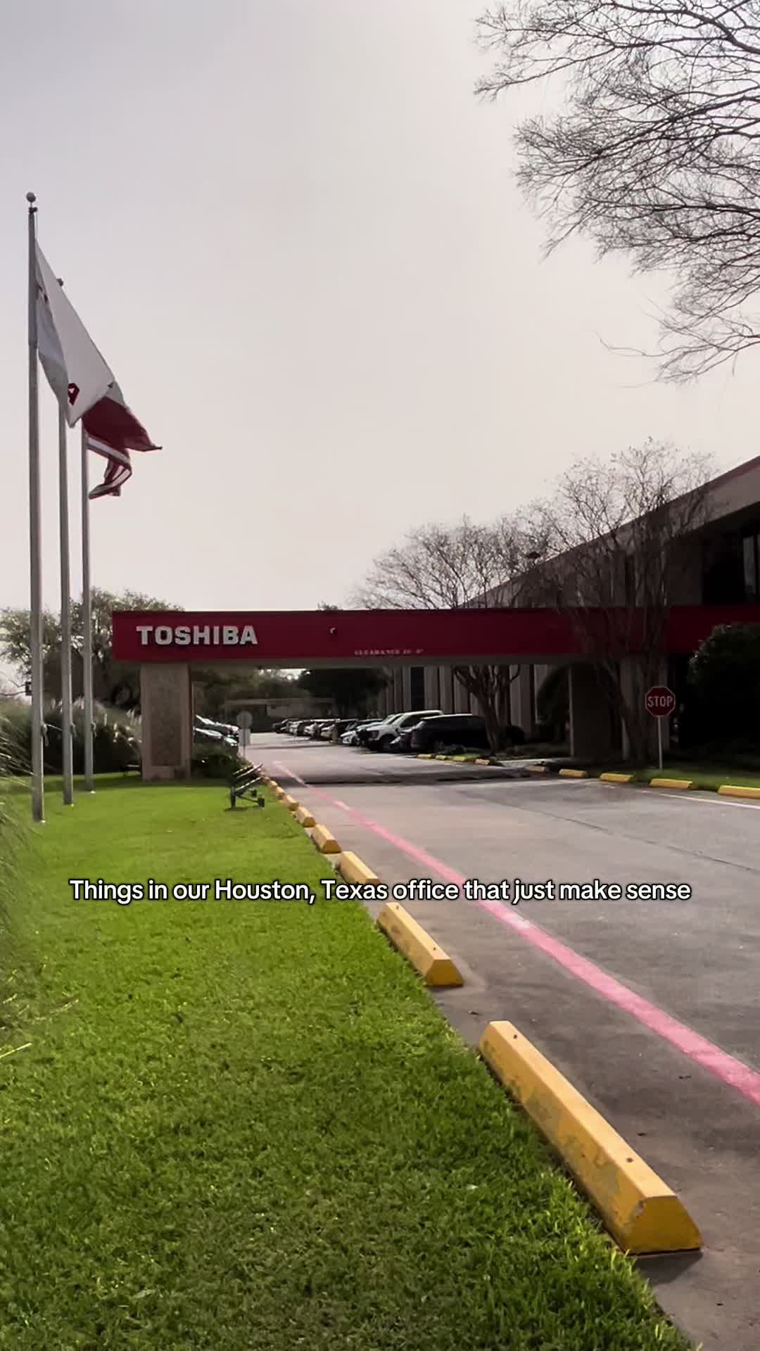 @Toshiba Americas Group