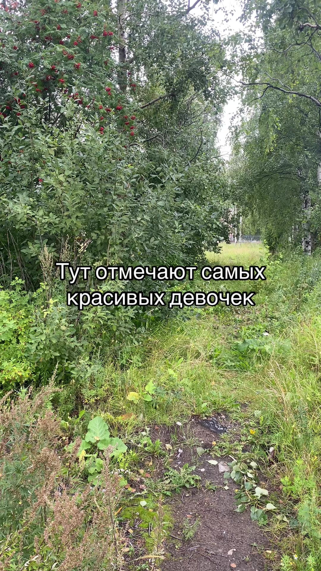 @Данил