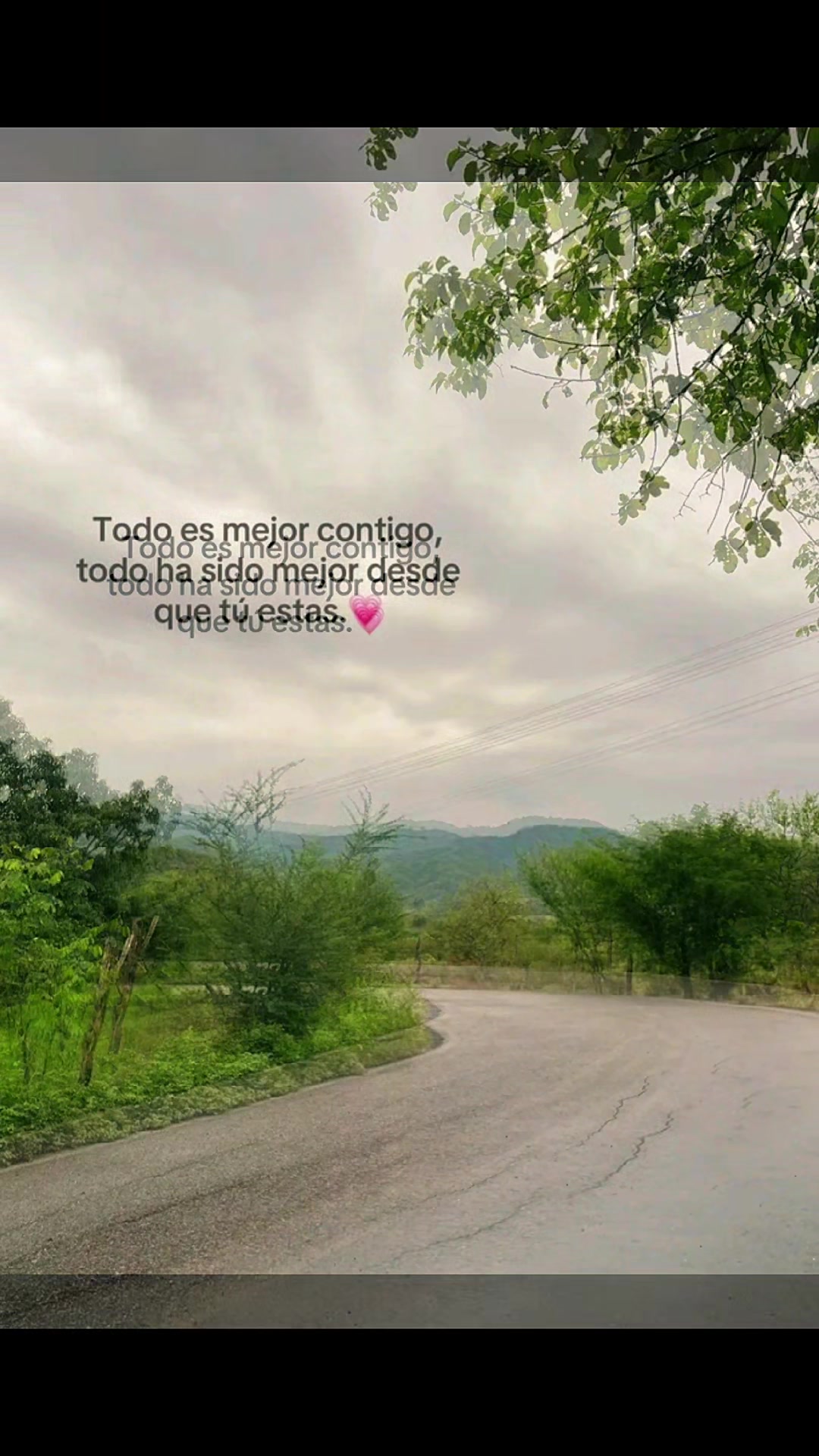 @Nicol