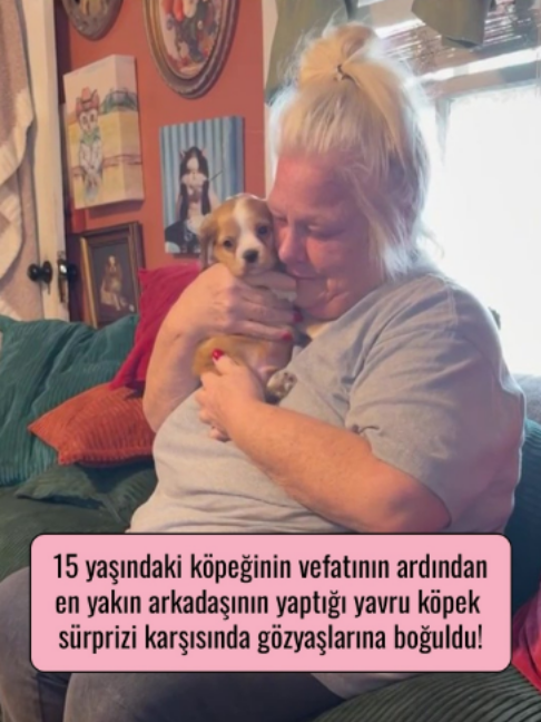 @Mynet Kadin