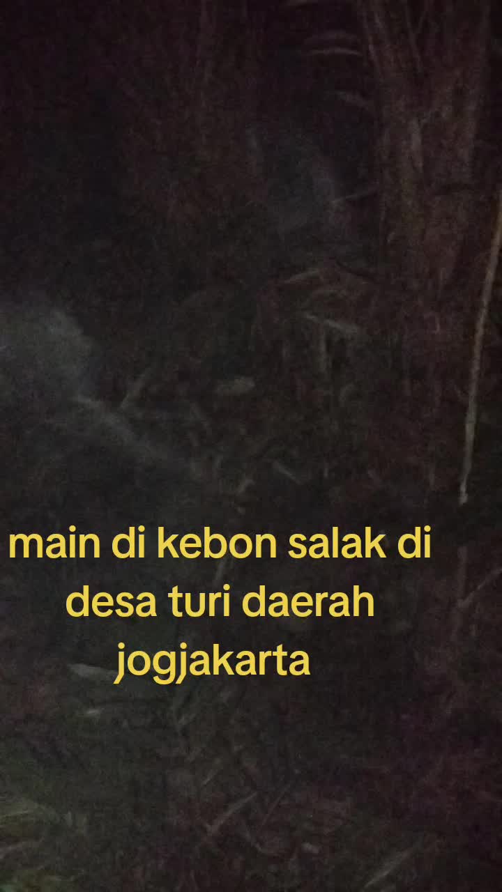 @ma'mun