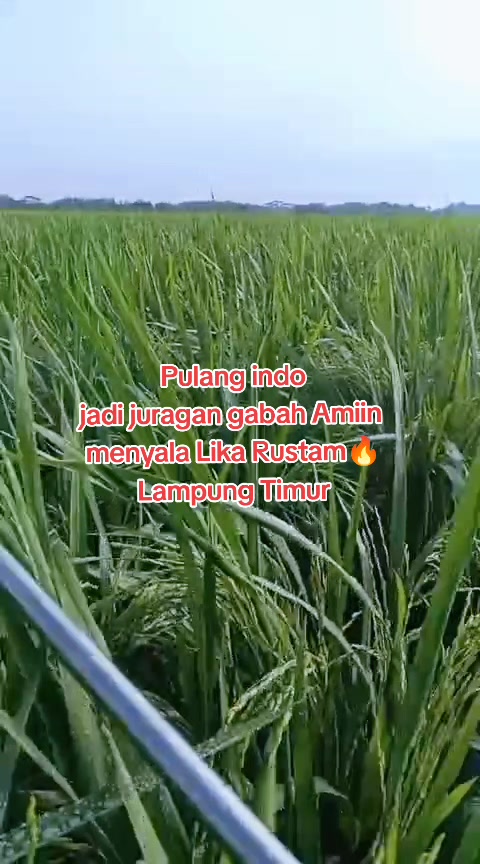 @Lika maulana