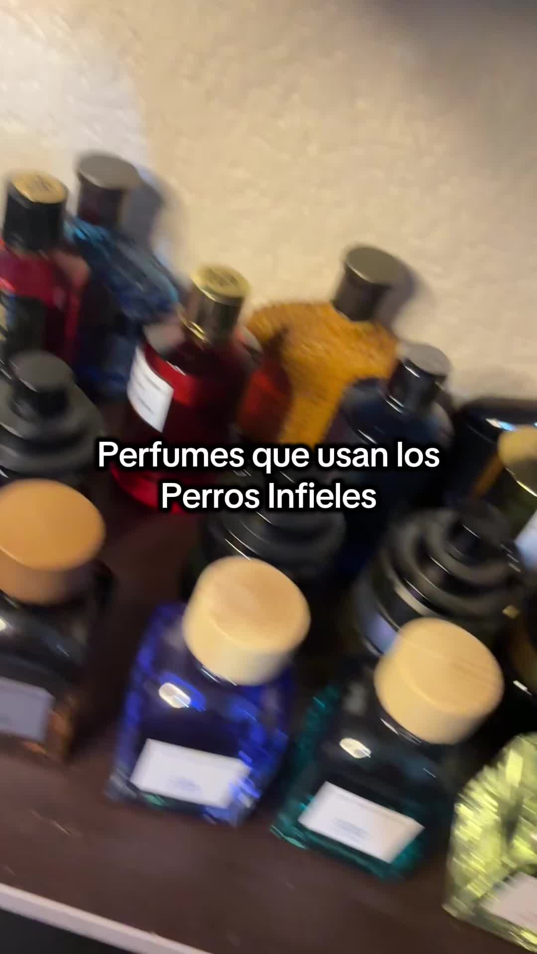 @DonParfum😎