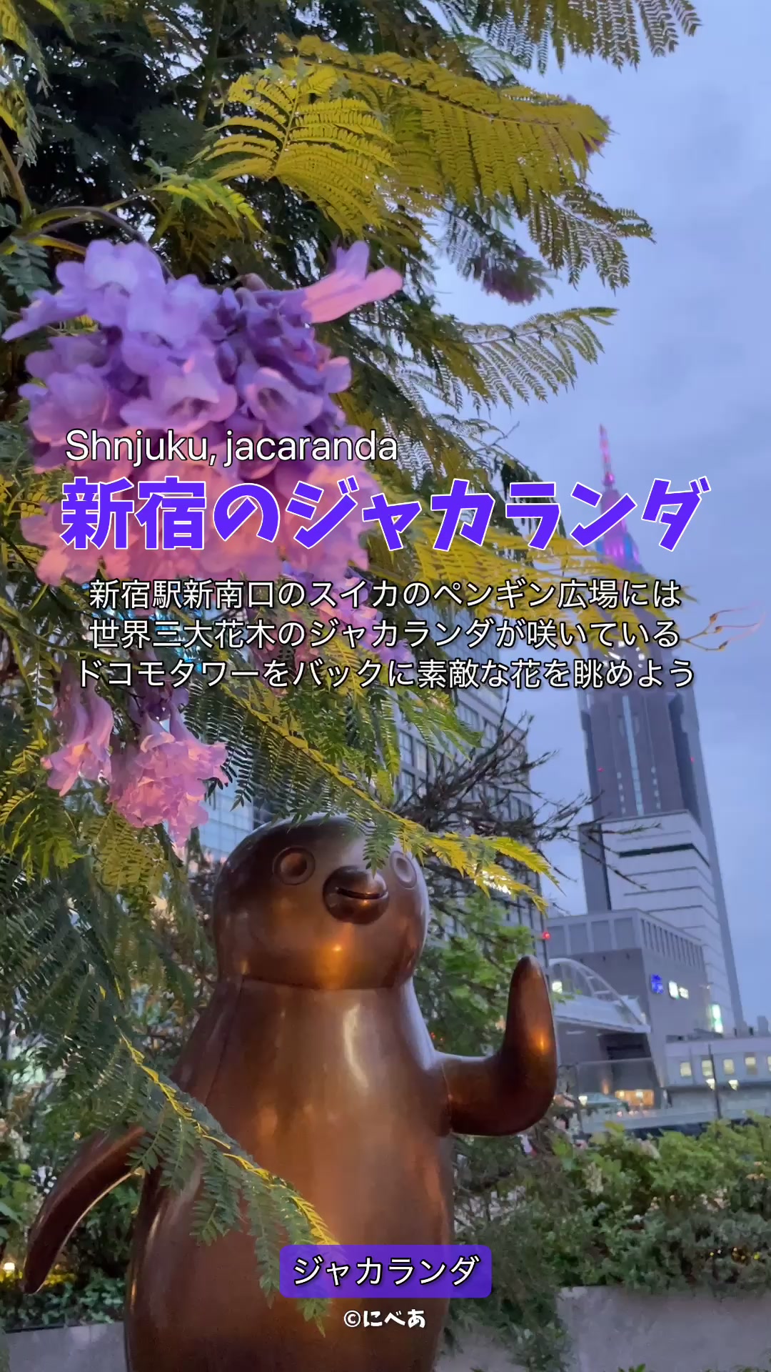 @にべあ🧸🍒