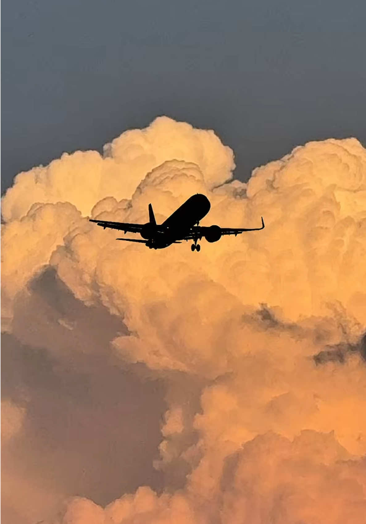 @سـامـي الجهني💙📸📲