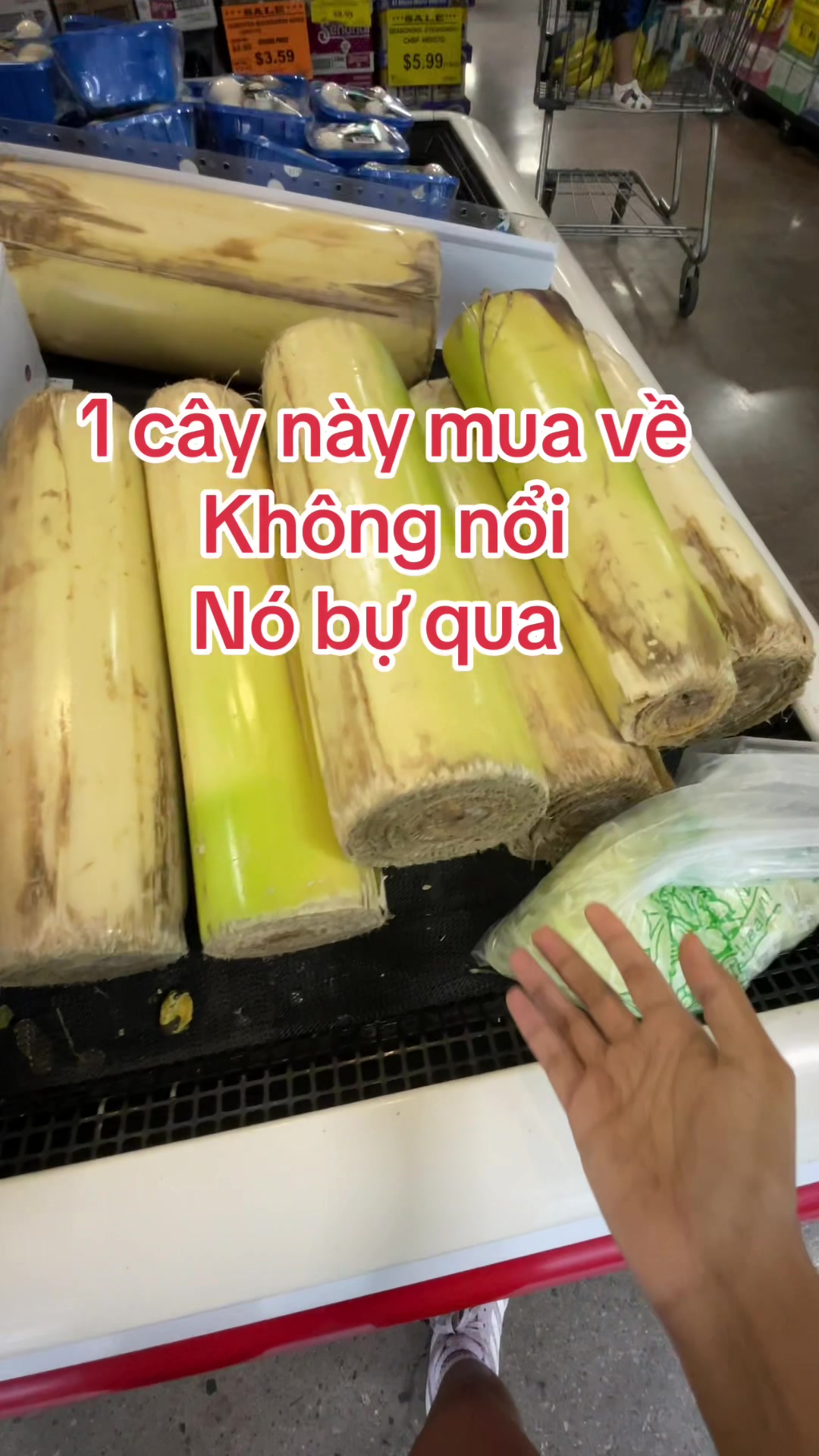 @Đi & Go