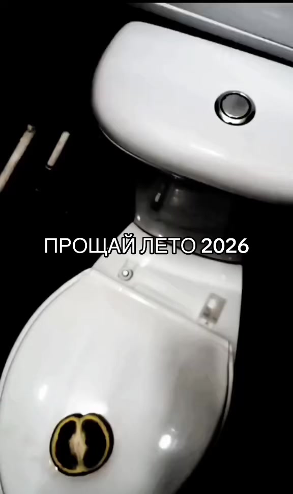 @projectmimo