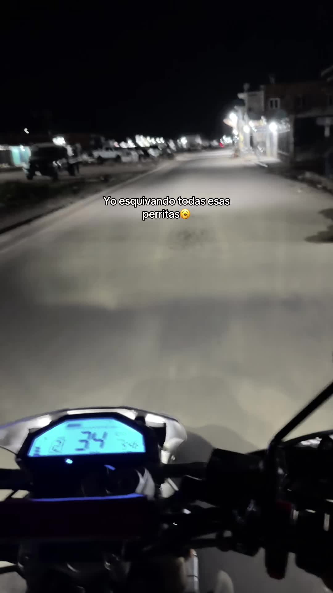 @Ana🐍