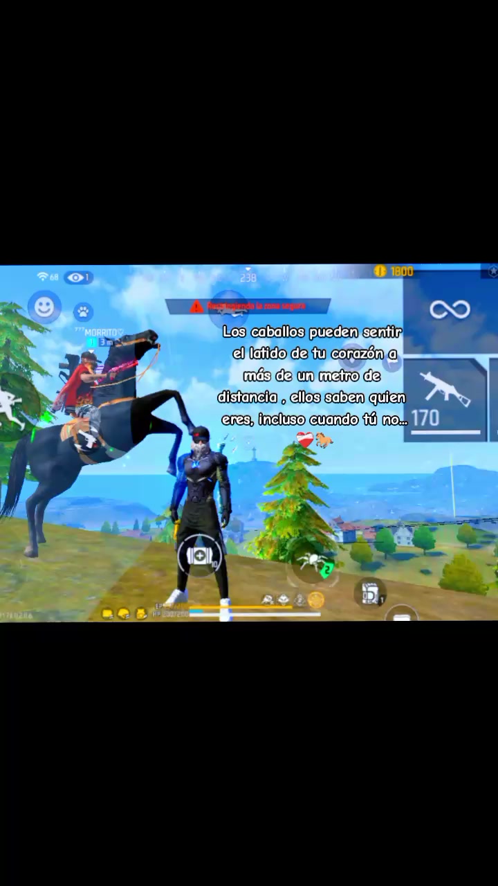 @MORRITO 21°