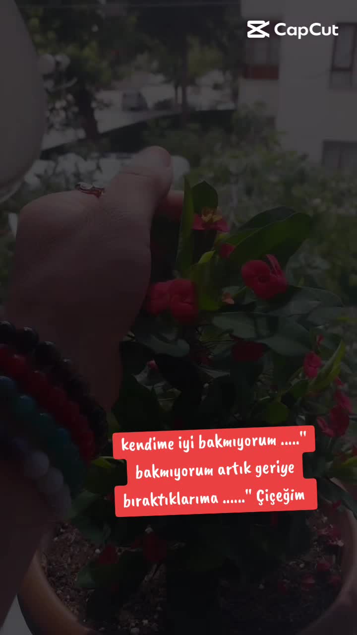 @🌹🌹ELA  G&Ouml;ZL&Uuml; 🌹🌹