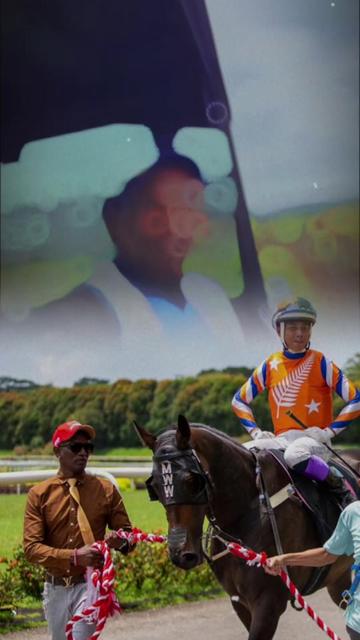 @kevin 🏆🏇🏇🏇🏆 🇸🇬🇲🇾🇳🇿