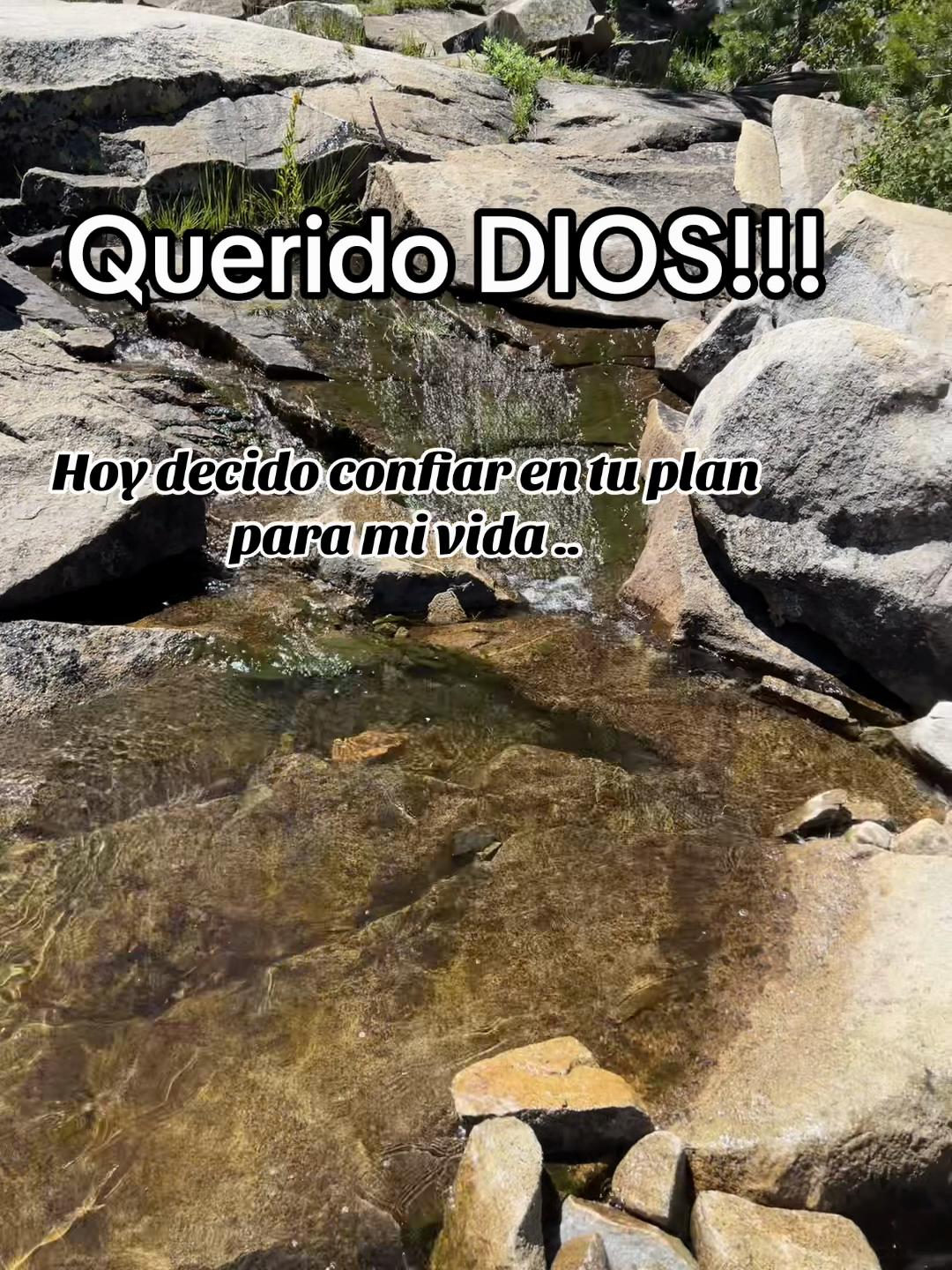 @Daniela F. Martinez