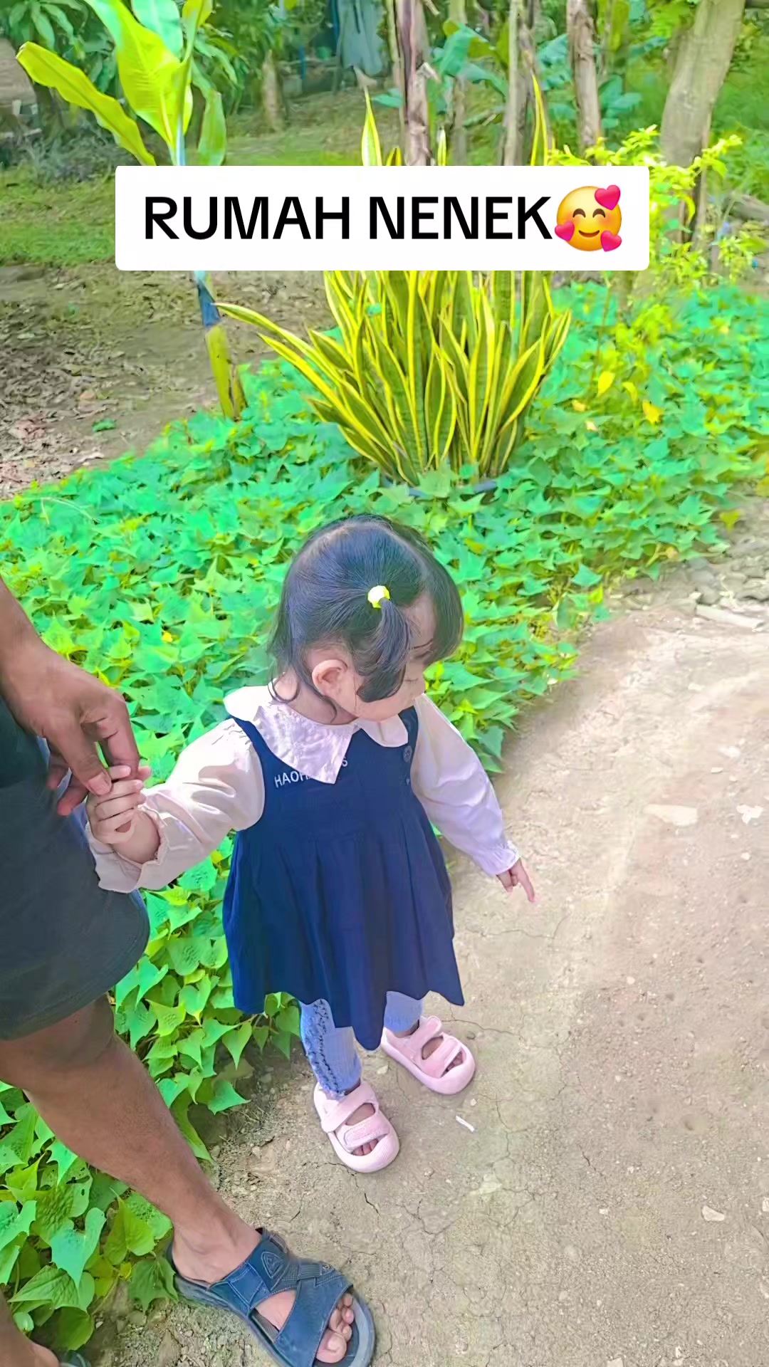 @OLEYA
