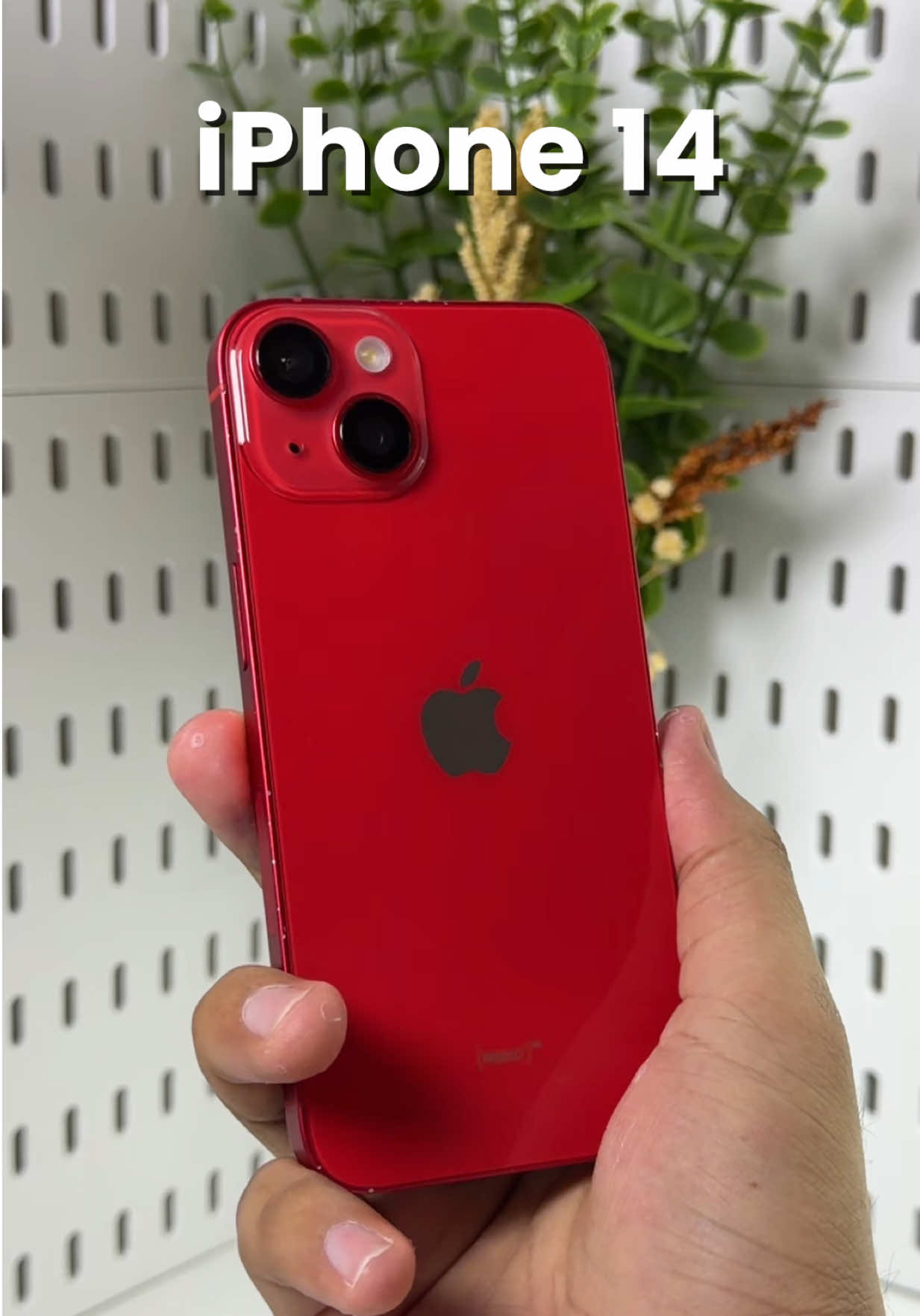 @iPhonary 🩷
