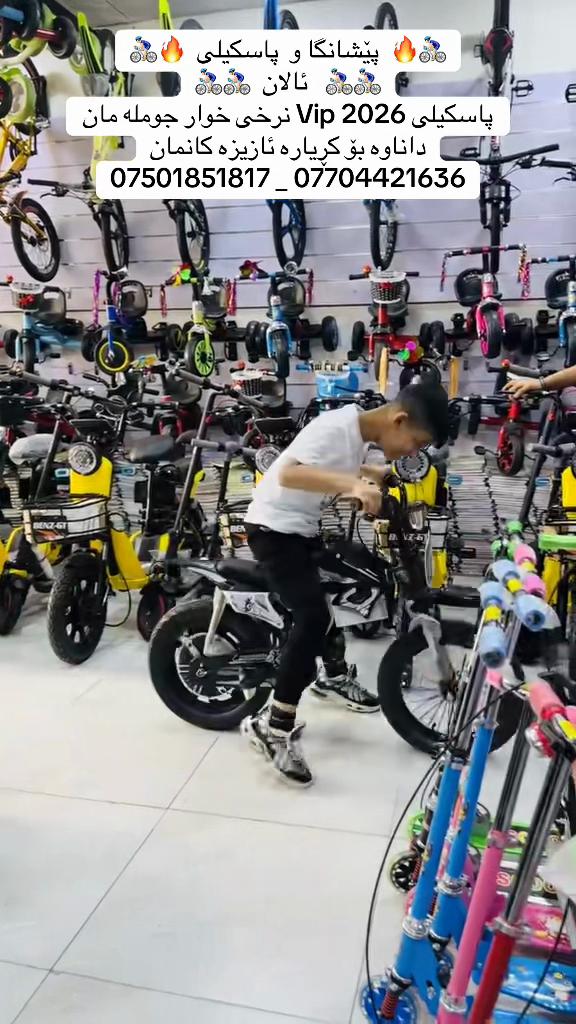 @🚴🏻&zwj;♂️ پاسکیلی ئالان