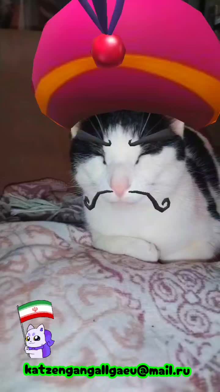 @katzengangallgaeu