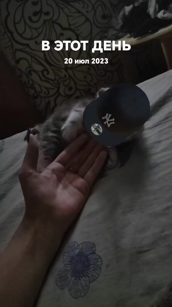 @"не"много с приветом😈