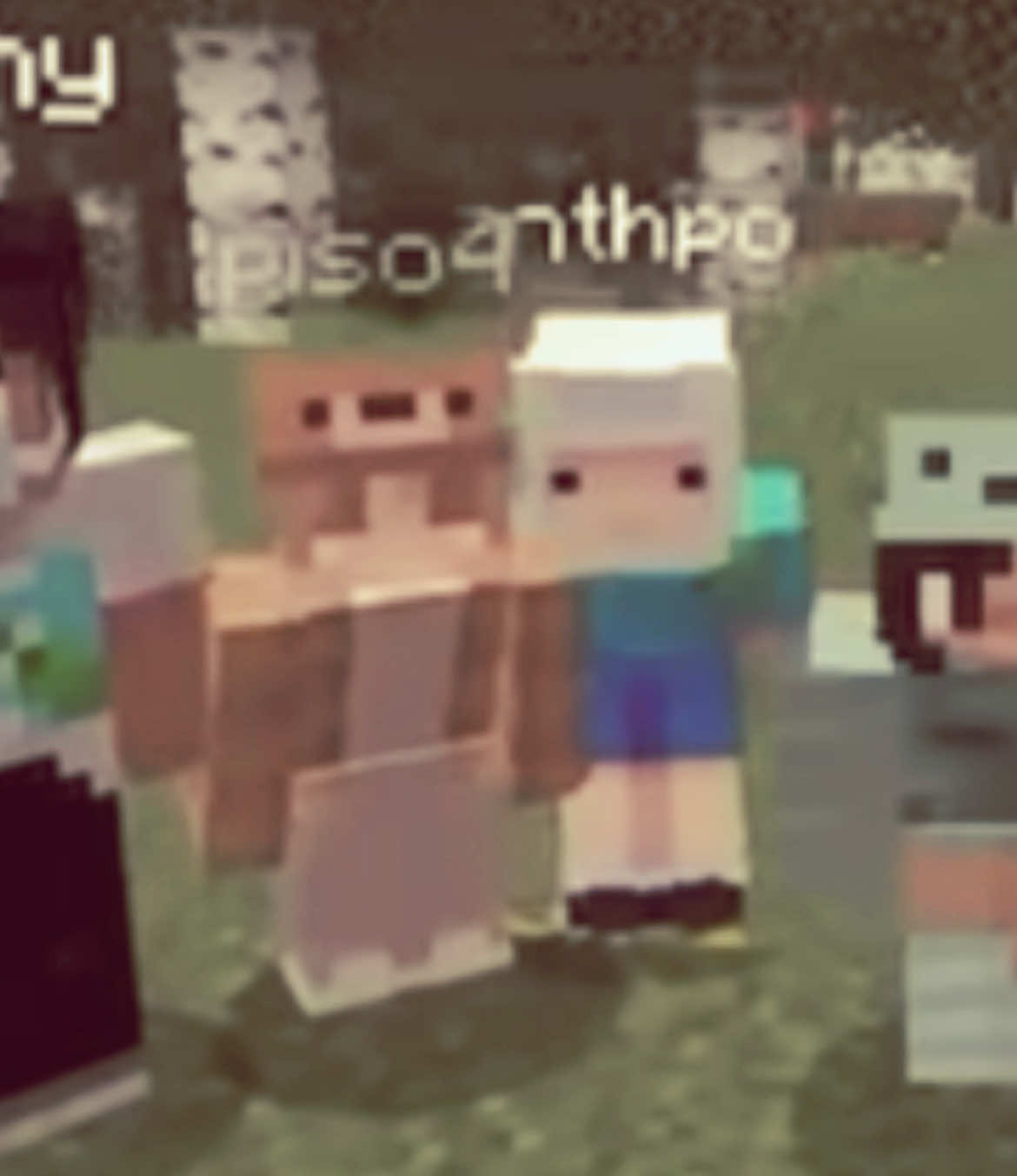 @PoPiso Fan