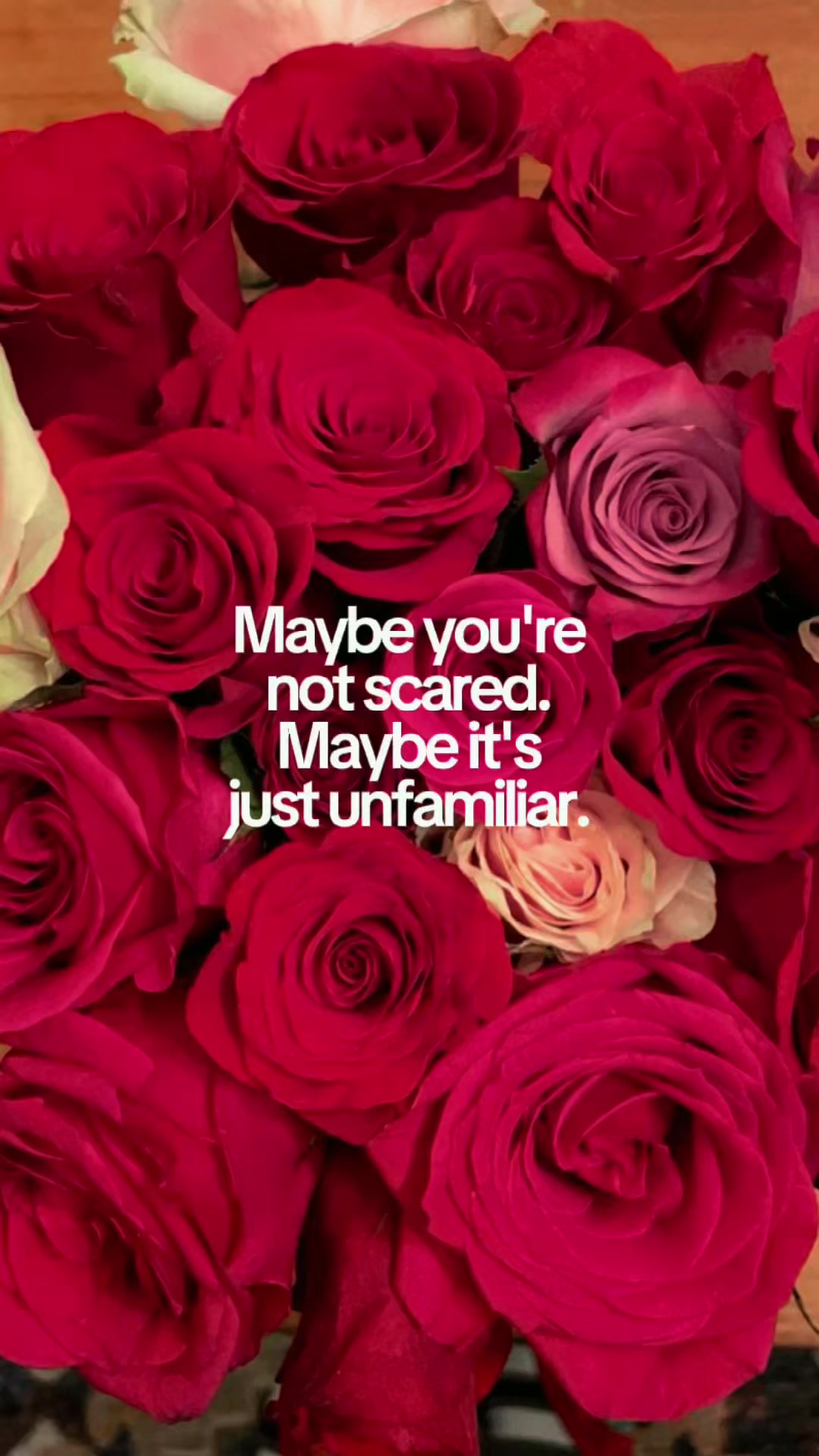 @you.got.melzzz