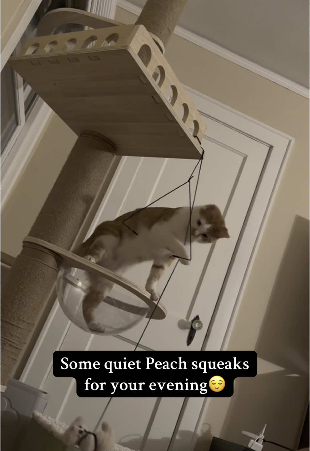 @Wheezy Peef