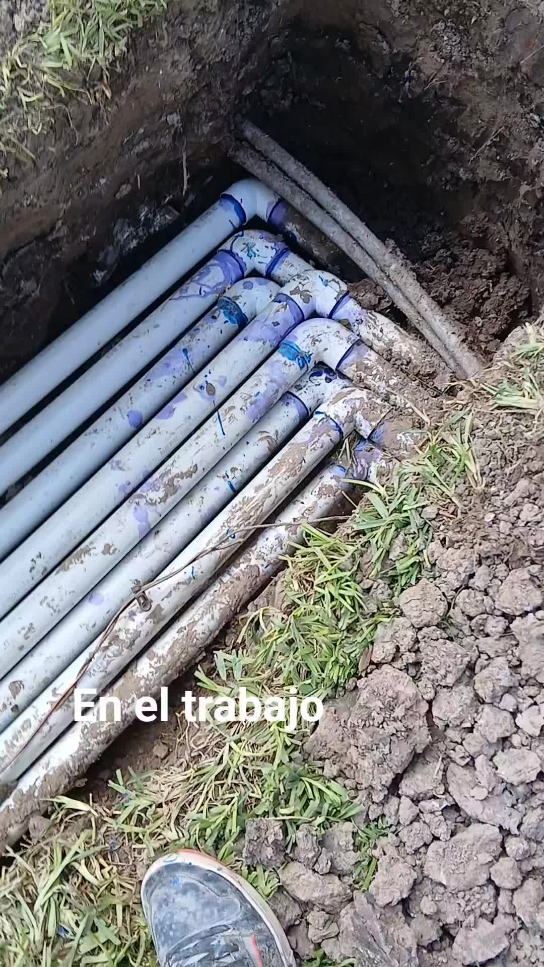 @Martin Palomo