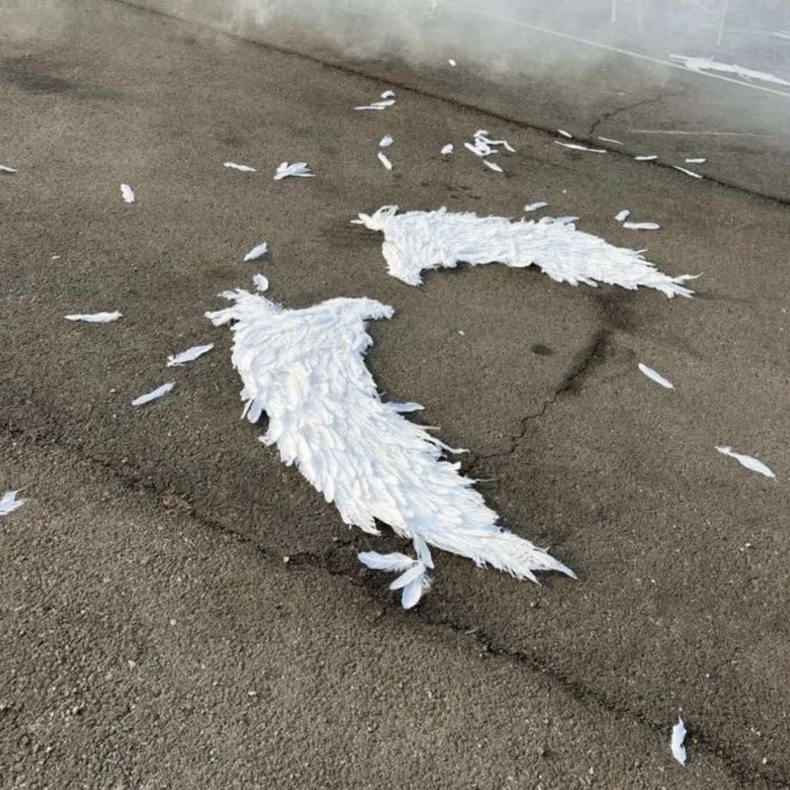 @✿