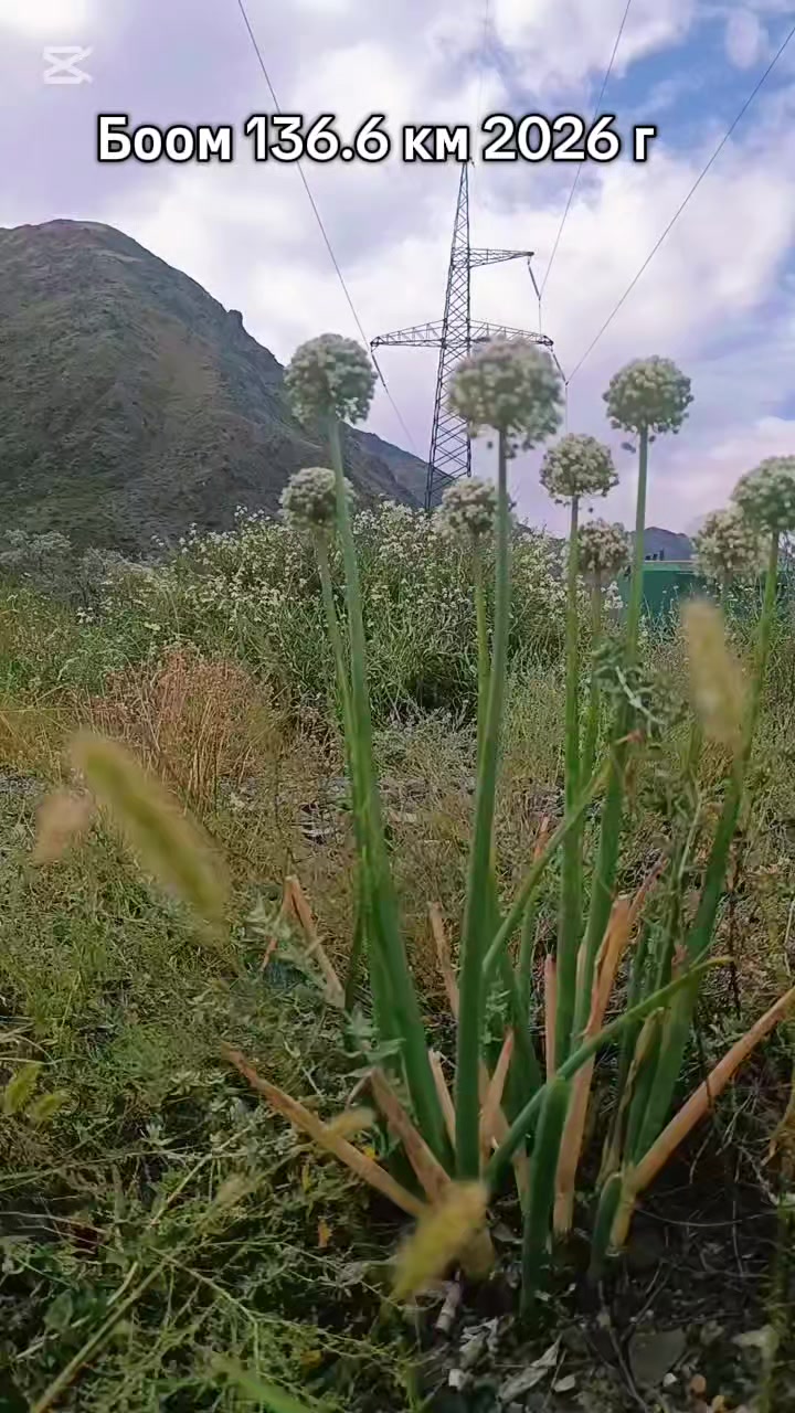 @Джонсон Боомский