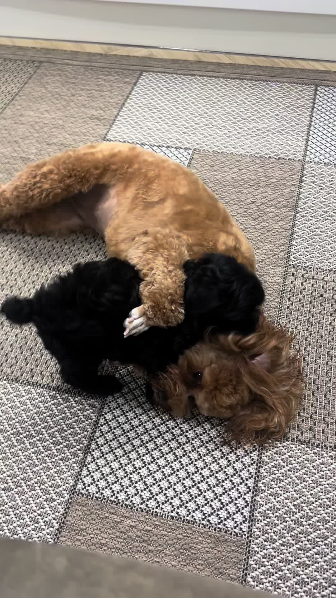 @лиза
