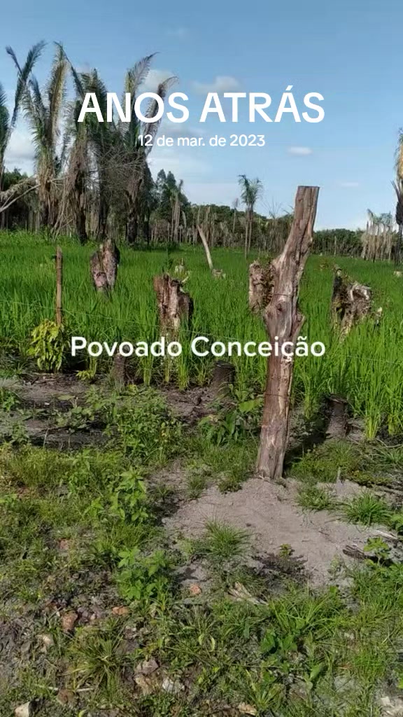 @Roberdan