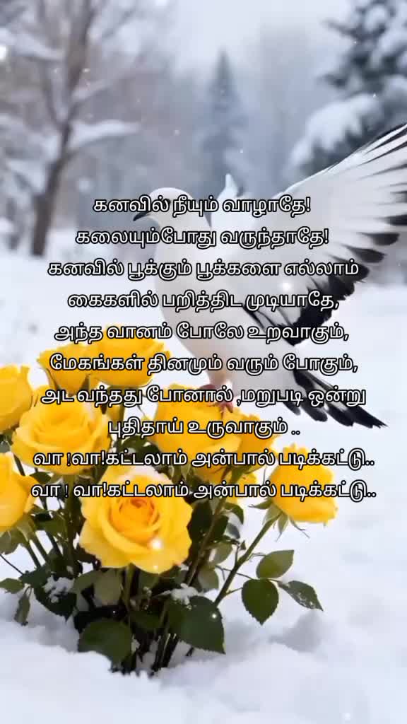 @malavicknes55