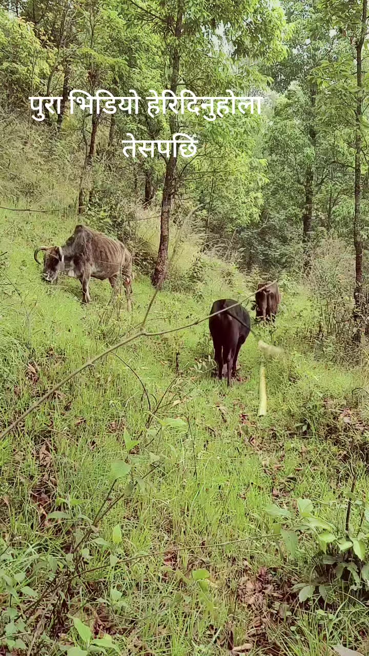 @ANJAN MAGAR💋💋♥️
