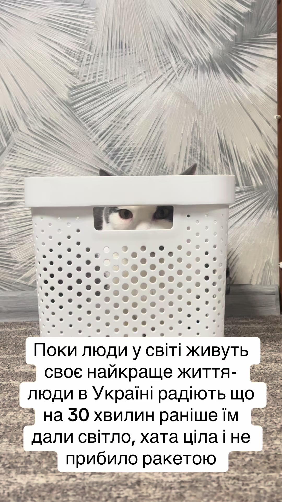 @Brytto 🐈⬛