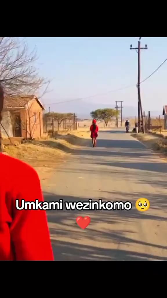 @qisteam3