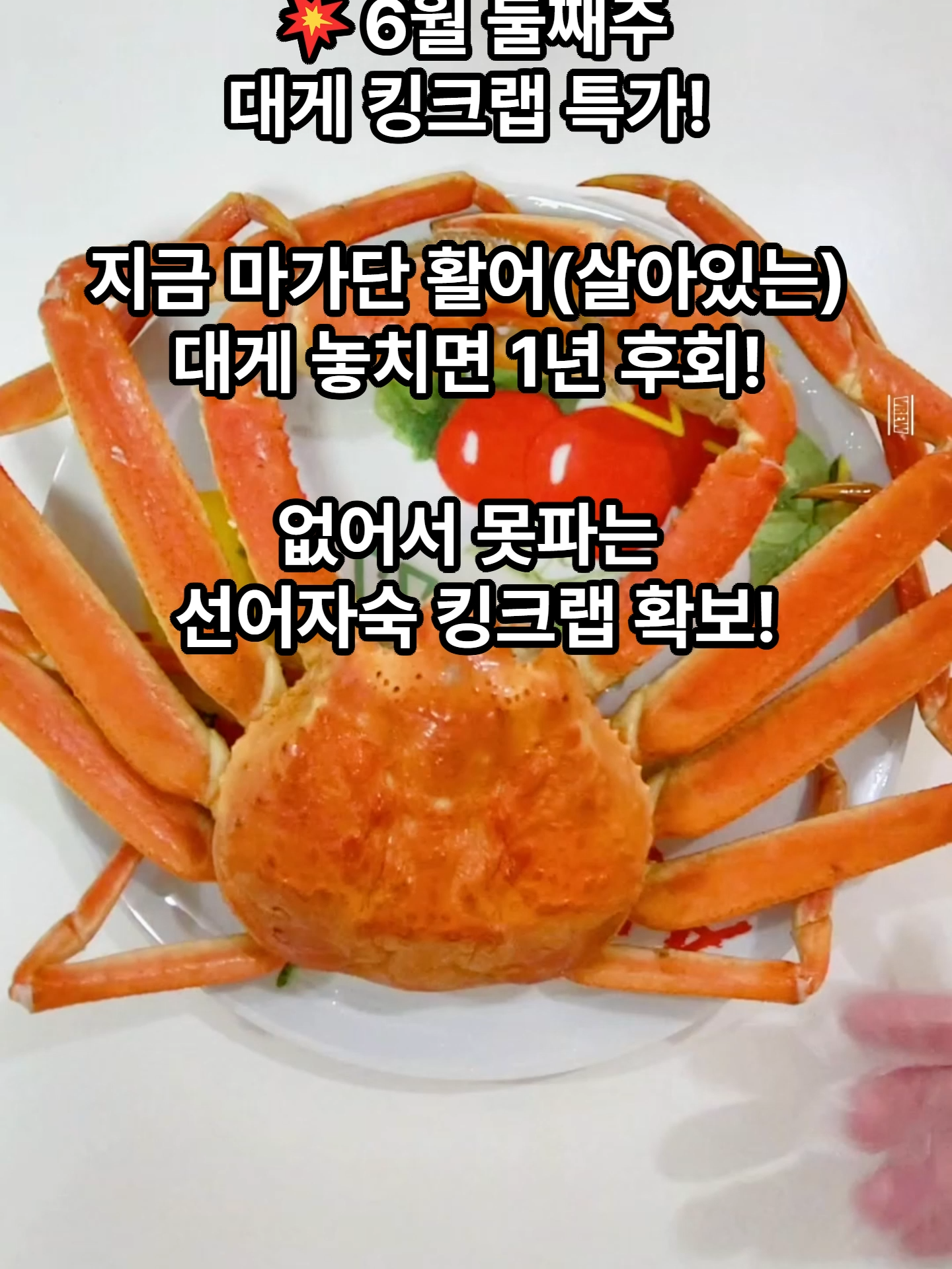 @킹크랩 대게 동해수산유통
