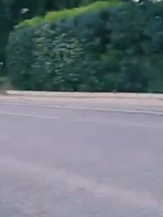 @INSANE THROTTLE