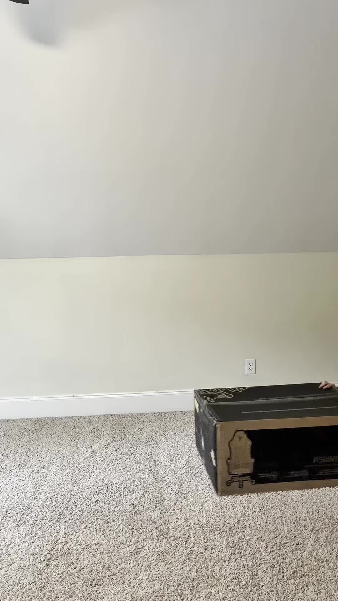 @APOLLOOGG