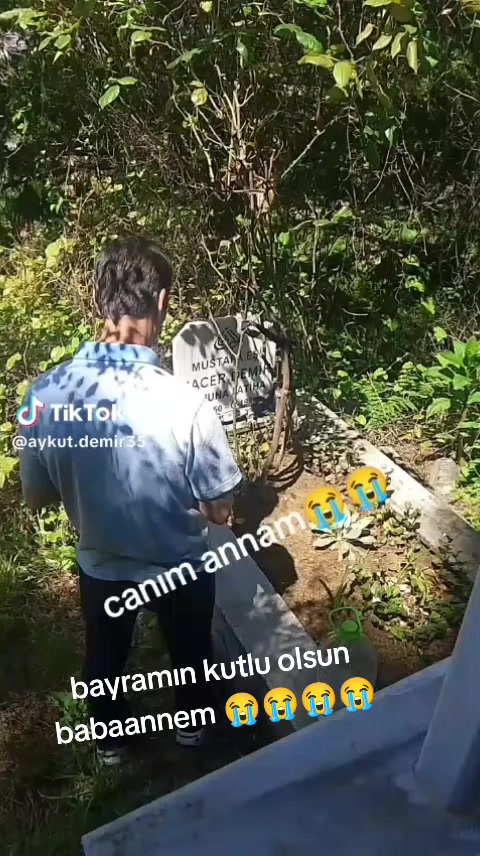 @sedef demir