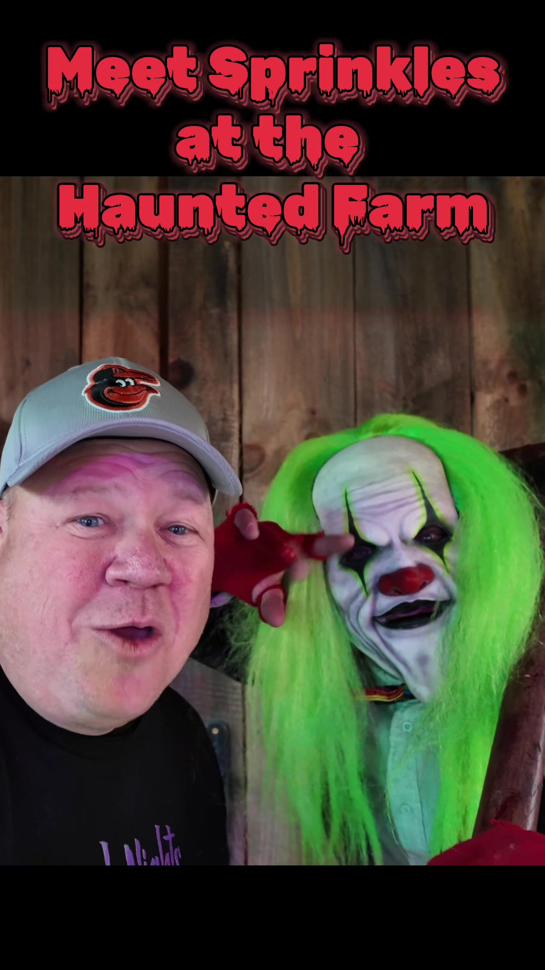 @coasters.haunts.darkrides