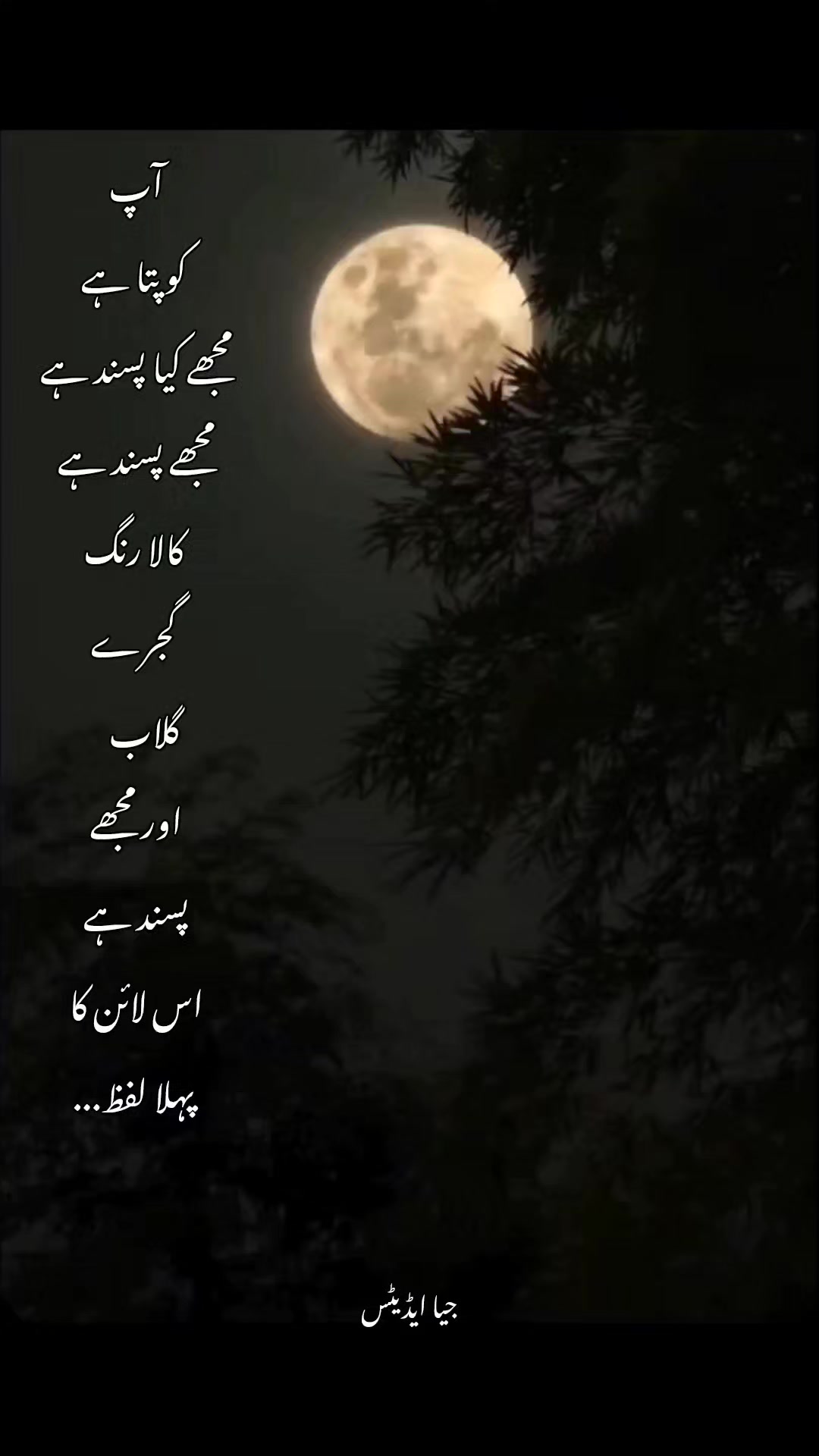 @👀🖤عـــشـــقِ یـــارم💗🌷