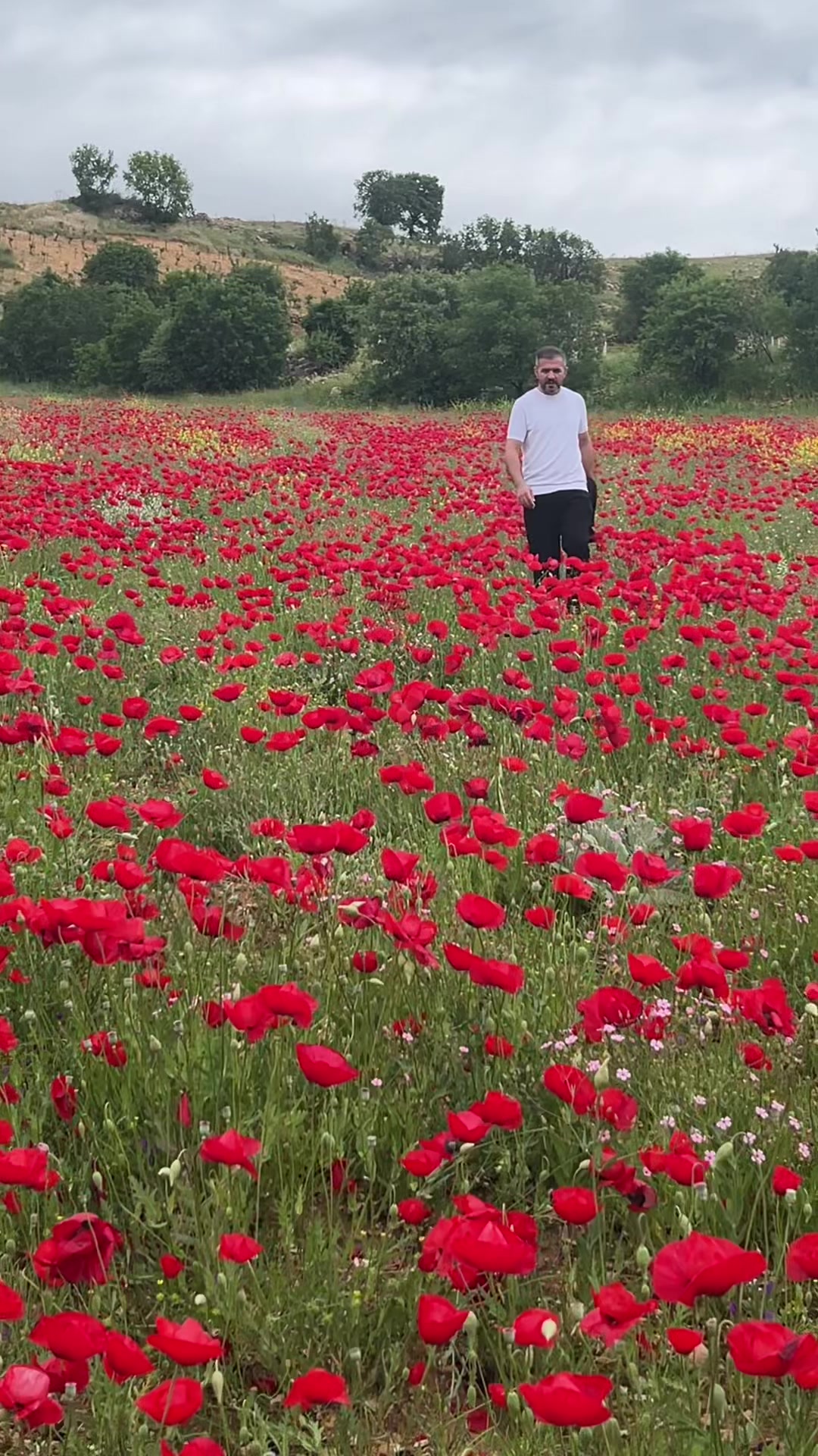 @özcan