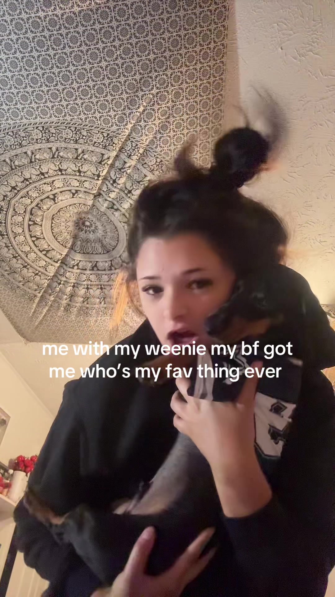 @🐆