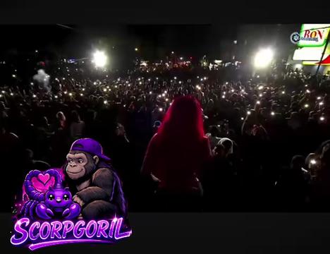 @SCORPGORIL ๐๐ค