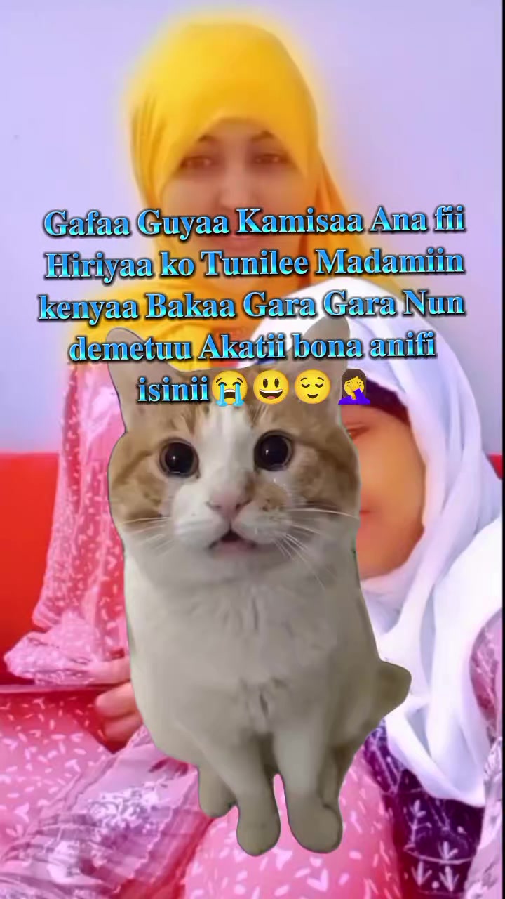 @โโ♥๏ธ๐๐ป๐๐ ๐๐ฟ๐๐ถ๐ถ ๐๐ถ๐ด