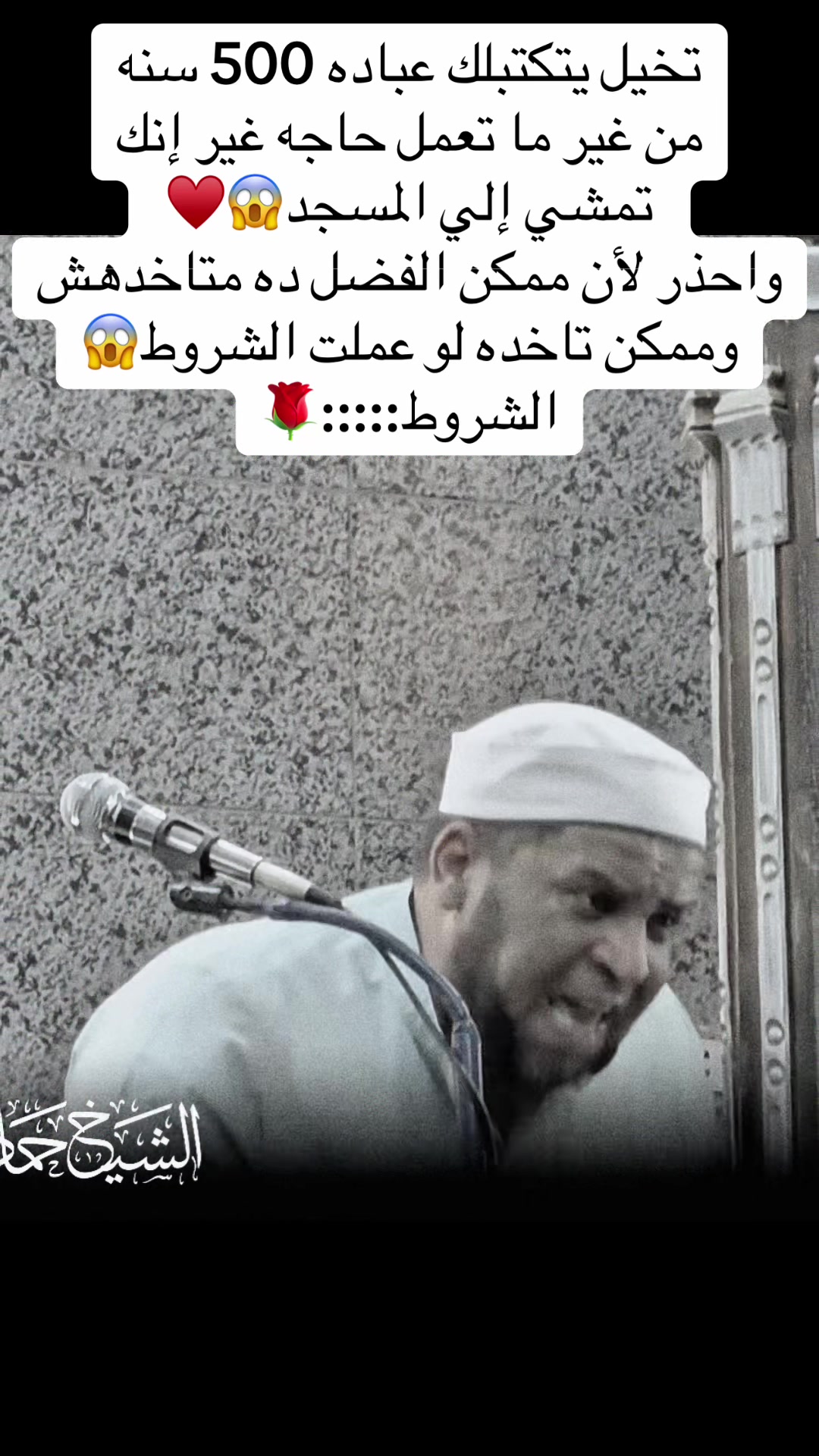 @الشيخ حمادة الجنداوي