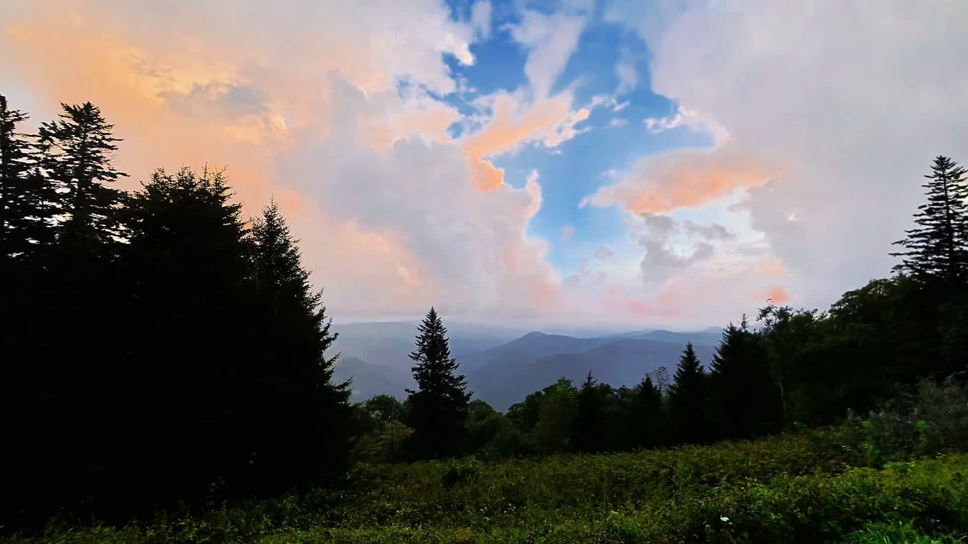 @Nature junkie