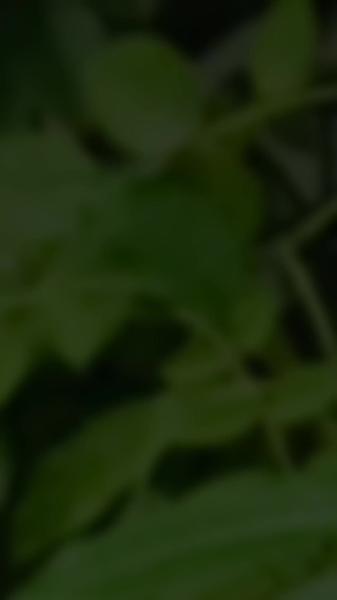 @𝐉𝐚𝐧𝐞𝐞 " 🤍🧚♂️