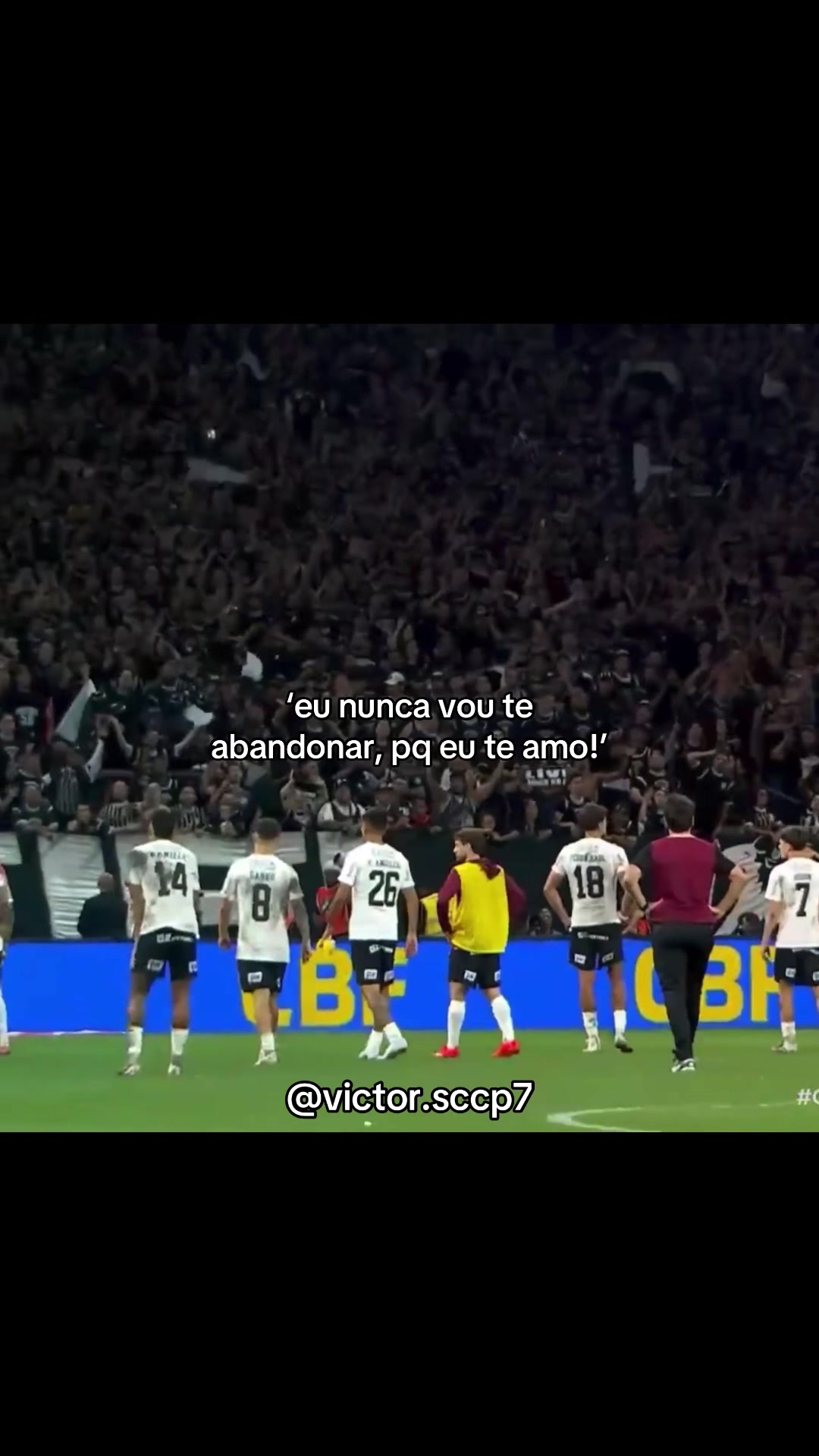 @Victor Oliveira