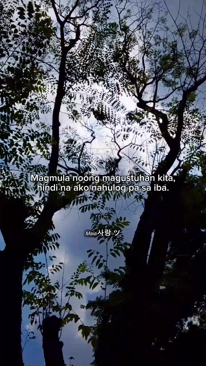 @𝘔𝘢𝘪𝘢사랑 ツ