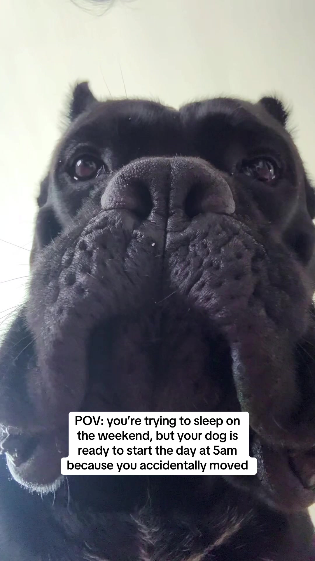 @Bentley Has Issues
